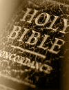 Audio Bible - NRSV